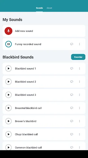 ดาวน์โหลด Blackbird Sounds ล่าสุด – สัมผัสเสียงธรรมชาติ ฟรี - Screenshot 7