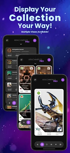 Arachnifiles: Pet Tracker ดาวน์โหลดแอปดูแลแมงมุมที่ดีที่สุด - Screenshot 3