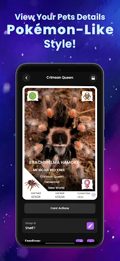 Arachnifiles: Pet Tracker ดาวน์โหลดแอปดูแลแมงมุมที่ดีที่สุด - Screenshot 4
