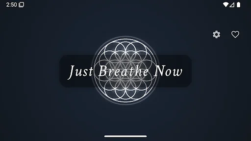 ดาวน์โหลด Just Breathe Now ล่าสุด – ฝึกลมหายใจแบบ Box Breathing ฟรี - Screenshot 8