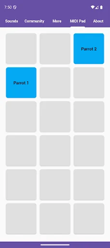 ดาวน์โหลด Parrot Sounds ล่าสุด – รวมเสียงนกแก้วสุดหรรษา ฟรี - Screenshot 5