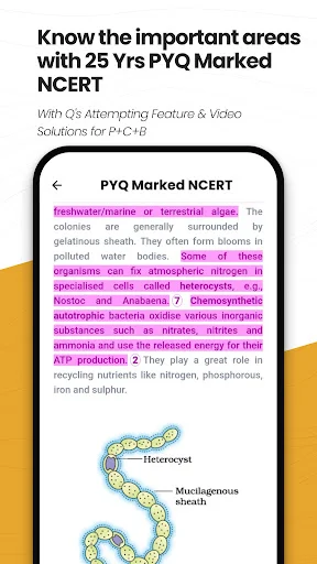 ดาวน์โหลด NEETprep Essential ล่าสุด – เตรียมสอบ NEET 2027/2028 ฟรี - Screenshot 8