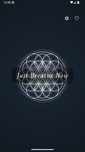 ดาวน์โหลด Just Breathe Now ล่าสุด – ฝึกลมหายใจแบบ Box Breathing ฟรี - Screenshot 1
