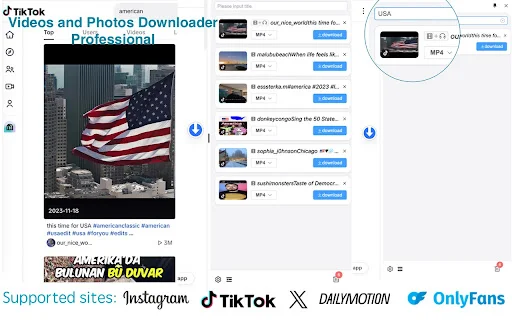 DataTool-Video Downloader: ดาวน์โหลดวิดีโอ TikTok และภาพคมชัดระดับ HD - Screenshot 3