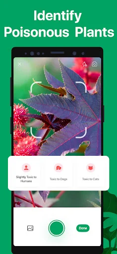 ดาวน์โหลด PictureThis – ระบุพันธุ์ไม้และดูแลต้นไม้แบบมือโปรฟรี - Screenshot 6