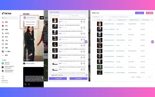 DataTool-Video Downloader: ดาวน์โหลดวิดีโอ TikTok และภาพคมชัดระดับ HD - Screenshot 1
