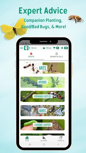 ดาวน์โหลด Seed to Spoon – ตัวช่วยวางแผนสวนผักและปลูกพืชง่ายๆ - Screenshot 7