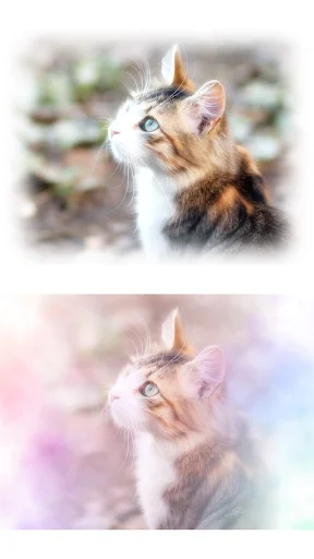 ดาวน์โหลด WataameCamera ล่าสุด – แต่งรูปสไตล์ละมุน น่ารักเหมือนสายไหม ฟรี - Screenshot 2